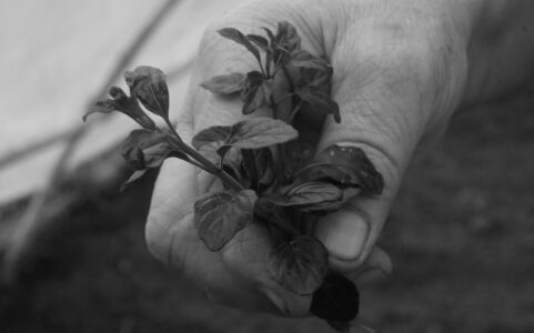 Mostra fotografica Newen è donna e natura di Nias Zavatta_Sabato 24 maggio